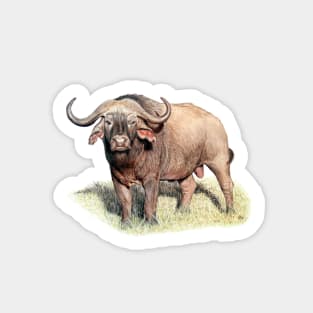 Buffalo Painting Sticker